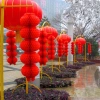 New Year's Day red lantern strings, Spring Festival small lantern decorations, indoor and outdoor waterproof plastic paper honeycomb lantern decorations details Picture